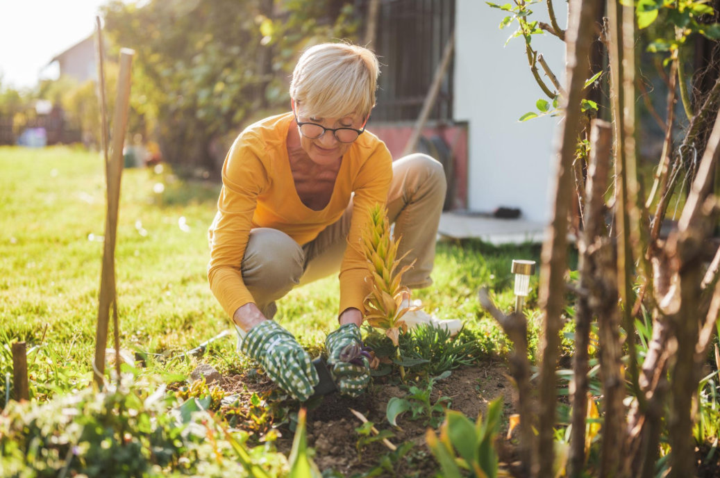 Staying active in the garden every day